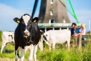 Amsterdam: Zaanse Schans, Marken, Volendam, & Edam Day Tour