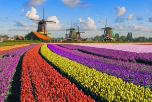 Amsterdam : Zaanse Schans, La Haye et Rotterdam