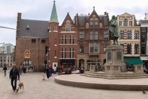 Amsterdam : Zaanse Schans, La Haye et Rotterdam