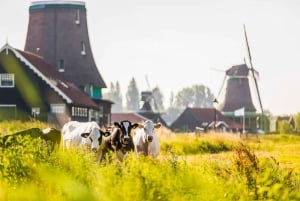 Zaanse Schans, Volendam und Marken - Tagestour