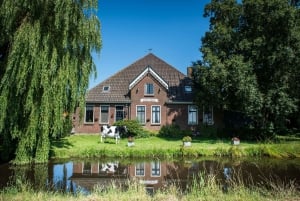 Amsterdam: Zaanse Schans, Volendam y Edam Visita guiada en directo