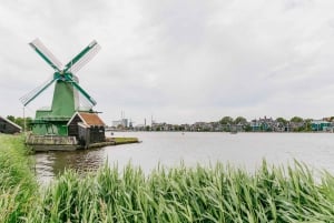 Amsterdam: Zaanse Schans, Volendam e Edam Tour guidato dal vivo