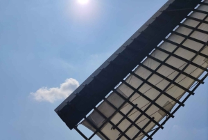 Amsterdam: Schansin tuulimyllyjen pyöräretki oppaan kanssa.