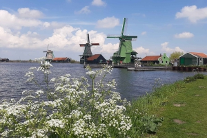 Amsterdam: Zaanse Schans Windmills Guided Tour
