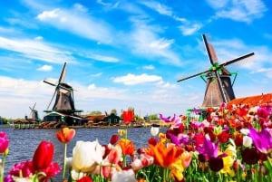 Amsterdam: tour privato di Zaanse Schans, mulini a vento e Volendam