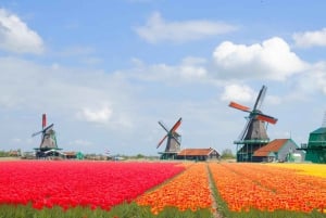 Amsterdam: tour privato di Zaanse Schans, mulini a vento e Volendam