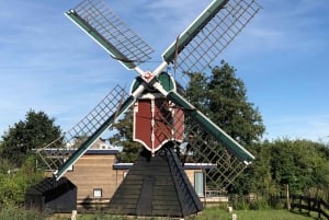 Amsterdam: Zaanse Schans Windmills & Zaandam E-Bike Tour