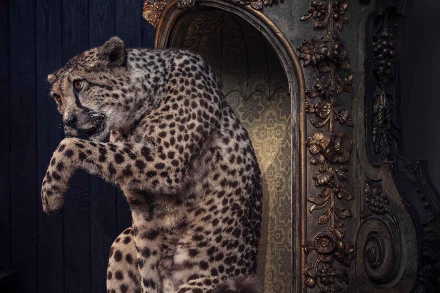 Art Zoo Museum: Art meets nature in a 17th-Century House