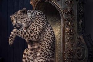 Art Zoo Museum: Art meets nature in a 17th-Century House