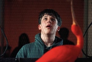 Art Zoo Museum: Art meets nature in a 17th-Century House