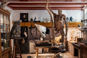 Art Zoo Museum: Art meets nature in a 17th-Century House
