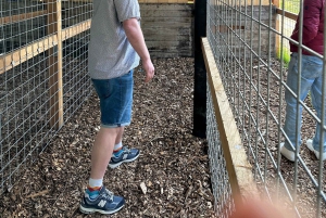 Kirveenheitto Amsterdamissa: vapauta sisäinen soturisi