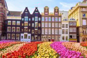 Il meglio di Amsterdam: tour privato a piedi con una guida locale