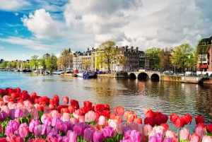 Il meglio di Amsterdam: tour privato a piedi con una guida locale