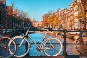 Il meglio di Amsterdam: tour privato a piedi con una guida locale