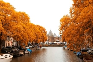 Il meglio di Amsterdam: tour privato a piedi con una guida locale