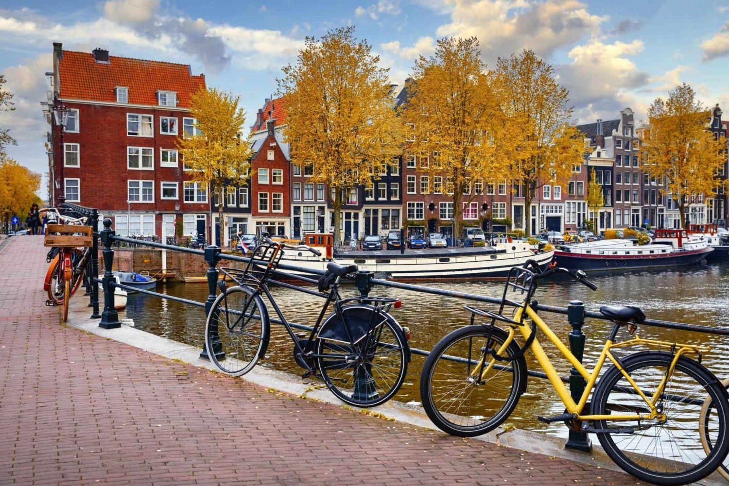 Tour in bicicletta del centro storico di Amsterdam, delle principali attrazioni e della natura