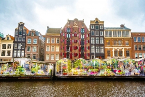 Pyöräretki Amsterdamin vanhaankaupunkiin, suosituimpiin nähtävyyksiin ja luontoon