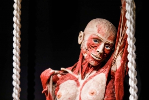 Body Worlds Amsterdam: The Happiness Project Ticket