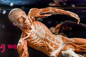 Body Worlds Amsterdam: The Happiness Project Ticket