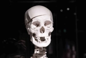 Körperwelten Amsterdam: Das Happiness Project Ticket