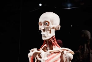 Körperwelten Amsterdam: Das Happiness Project Ticket