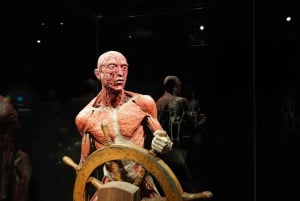 Körperwelten Amsterdam: Das Happiness Project Ticket