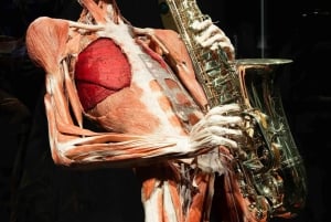 Körperwelten Amsterdam: Das Happiness Project Ticket