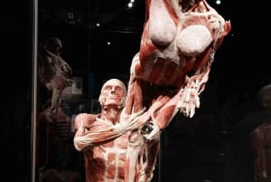 Körperwelten Amsterdam: Das Happiness Project Ticket