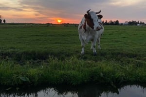 Broek in Waterland: noleggio kayak vicino ad Amsterdam