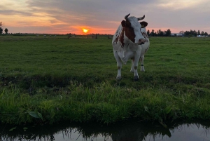 Broek in Waterland: Kajakudlejning tæt på Amsterdam