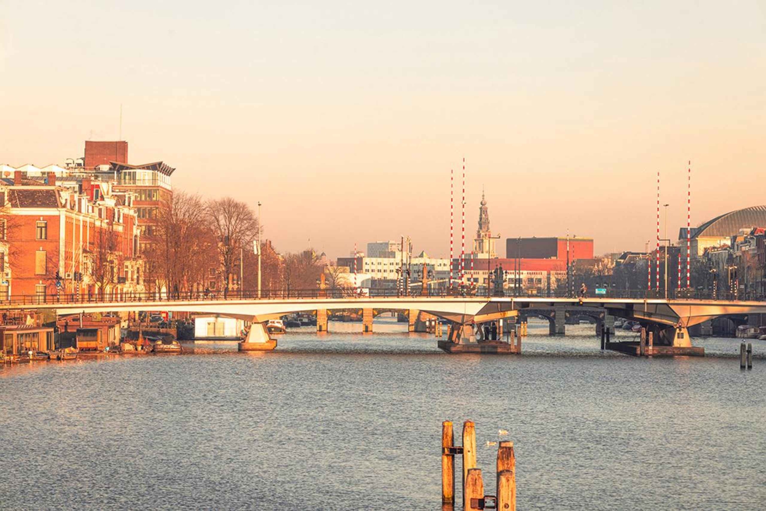 Immortalisez l'Amsterdam emblématique : promenade photo avec un photographe professionnel