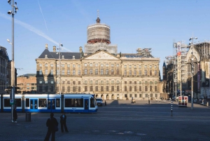 Immortalisez l'Amsterdam emblématique : promenade photo avec un photographe professionnel