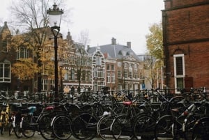 Rijksmuseum & Amsterdams centrum – exklusiv guidad tur