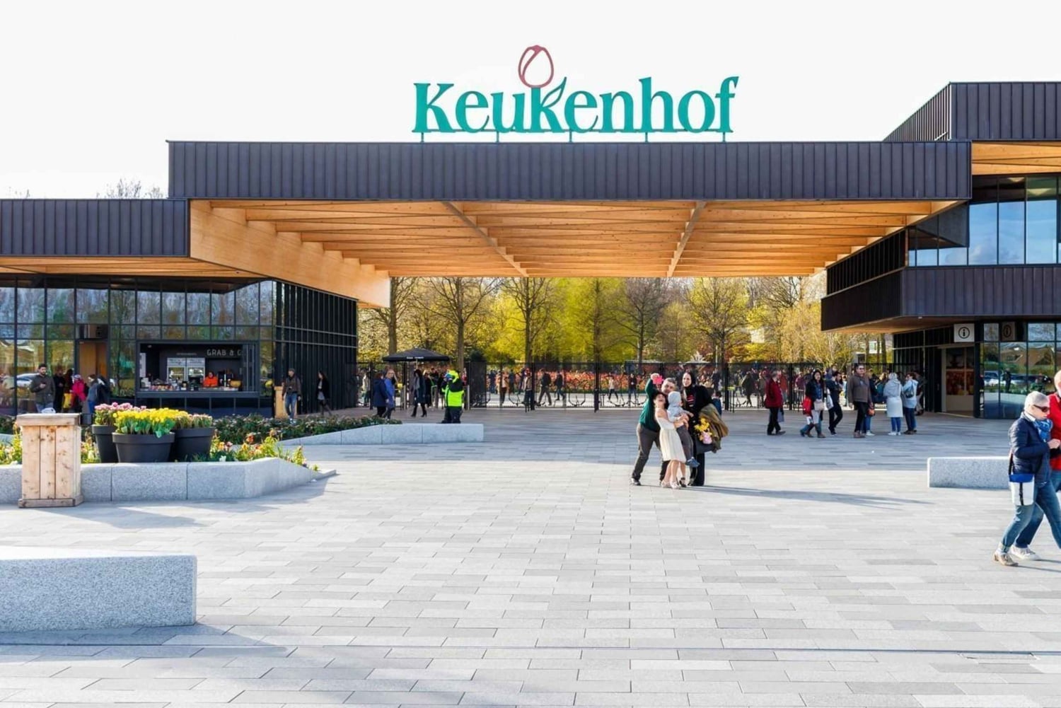 Porto crocieristico di Amsterdam: tour privato in minibus di lusso