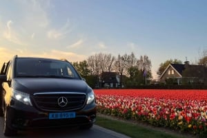 Cruise Port Amsterdam: Private Tour by Luxury Van
