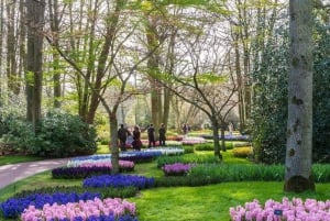 Cruise Port Amsterdam: Private Tour by Luxury Van