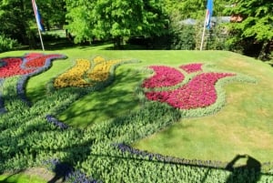 Cruise Port Amsterdam: Private Tour by Luxury Van