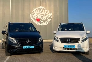 Cruise Port Amsterdam: Private Tour by Luxury Van