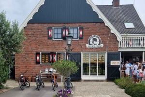 Porto crocieristico di Amsterdam: tour privato in minibus di lusso