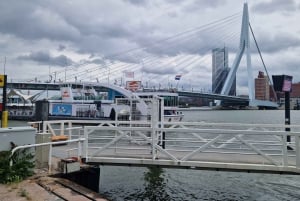 Kryssningsterminal Rotterdam: Privat tur med lyxbil