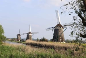 Delft and Volendam: Cheese, Clogs & Windmills (Small Group)