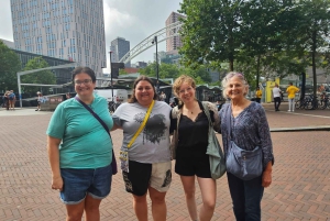 Delft & Rotterdam: Privat tur med kubehus og transport