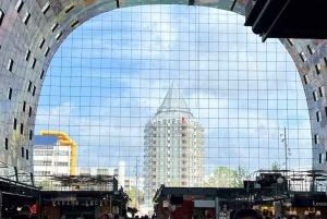 Delft & Rotterdam: Privat tur med kubehus og transport