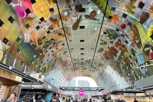 Delft & Rotterdam: Privat tur med kubehus og transport