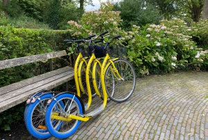 Delft - Step/scootertour in en rond de stad