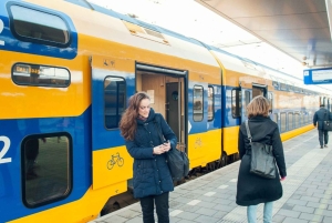 Découvrez Efteling avec un billet train+bus de/vers Amsterdam