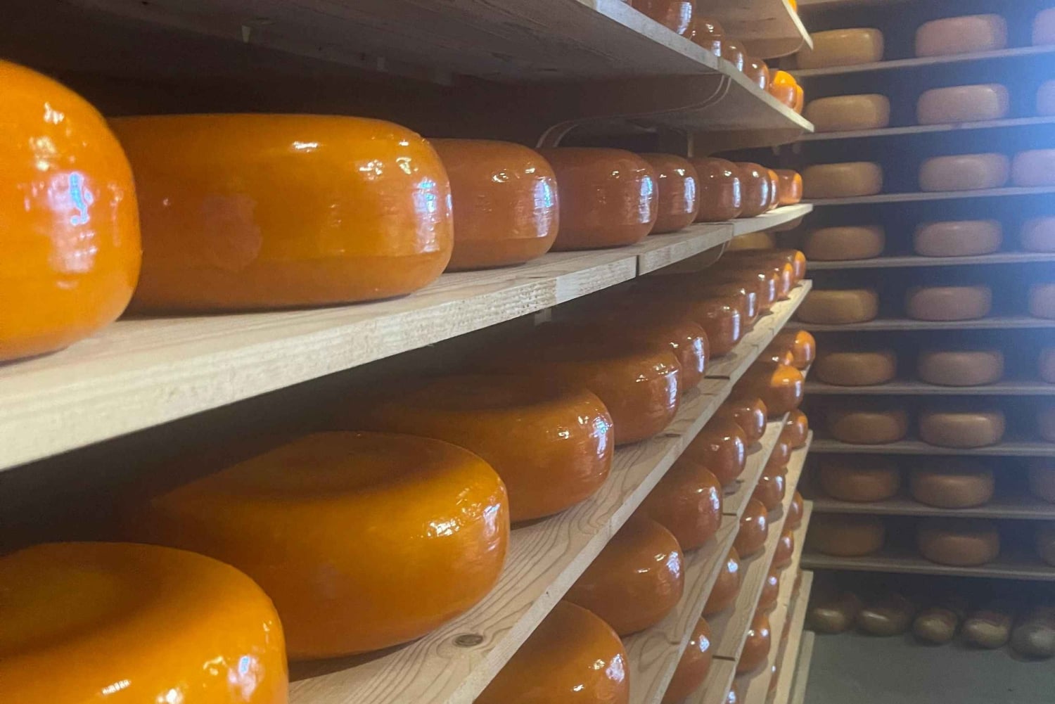 オランダの田園風景：風車、村々、チーズ、そして木靴