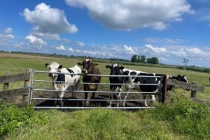 オランダの田園風景：風車、村々、チーズ、そして木靴