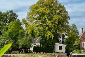 オランダの田園風景：風車、村々、チーズ、そして木靴